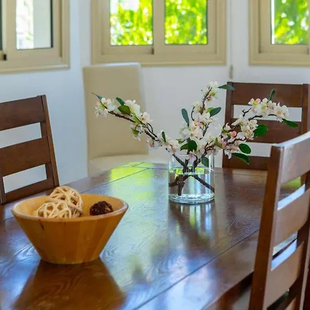 فيلة Olive Palm بروتاراس